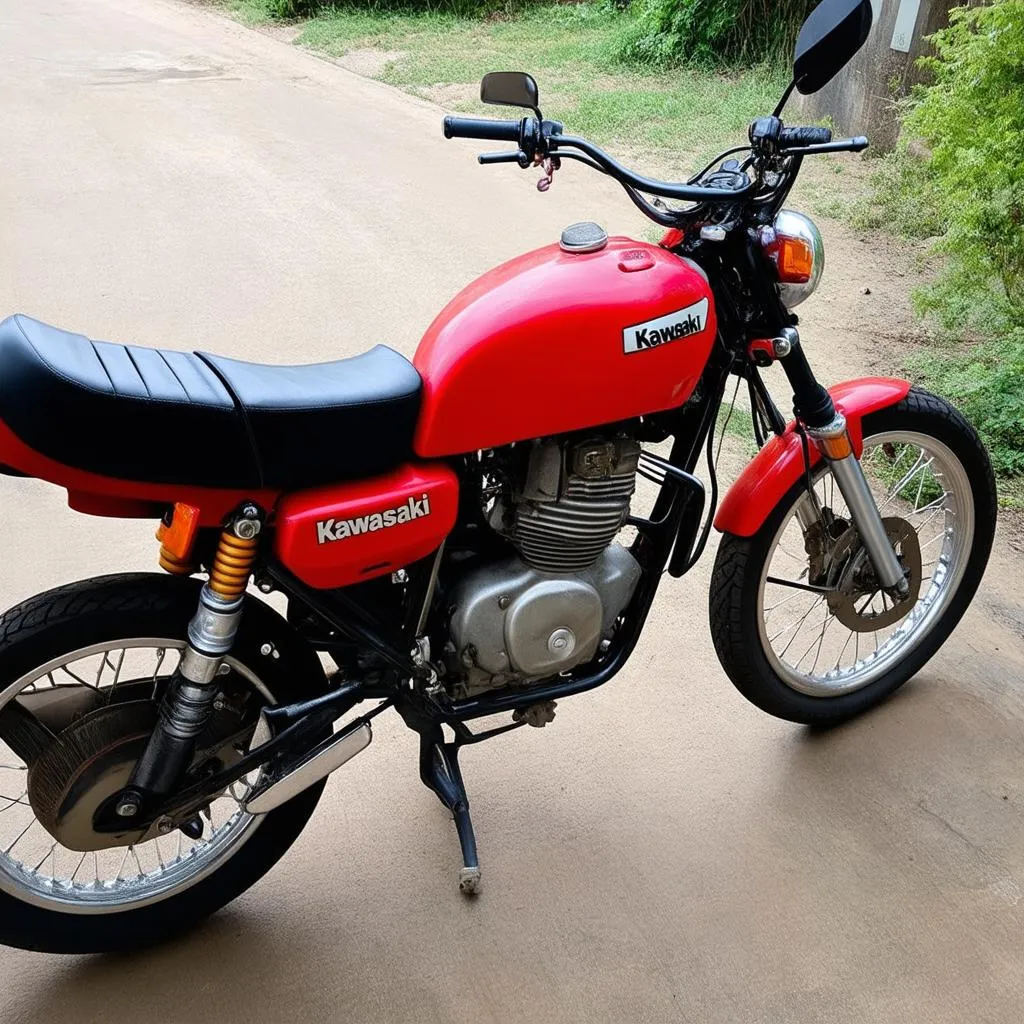 Bán Kawasaki 250