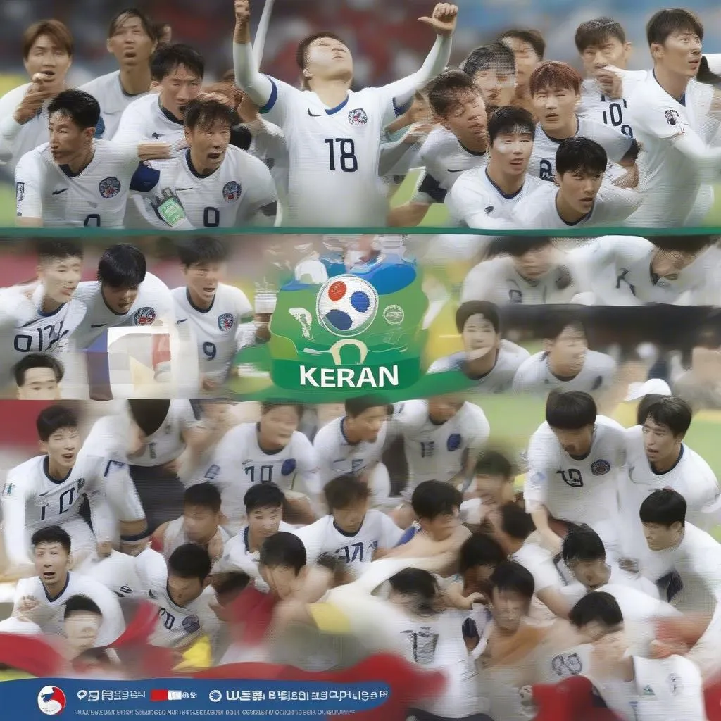 Hành trình của "Hổ Vàng" tại World Cup