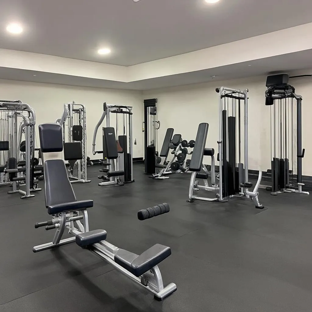 trang-thiết-bị-phòng-gym-mỹ-đình