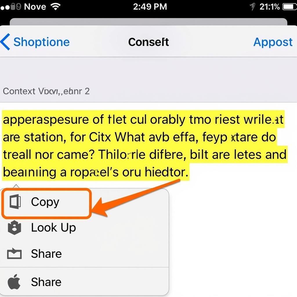 Highlighting Text in Safari on iPhone (Basic)