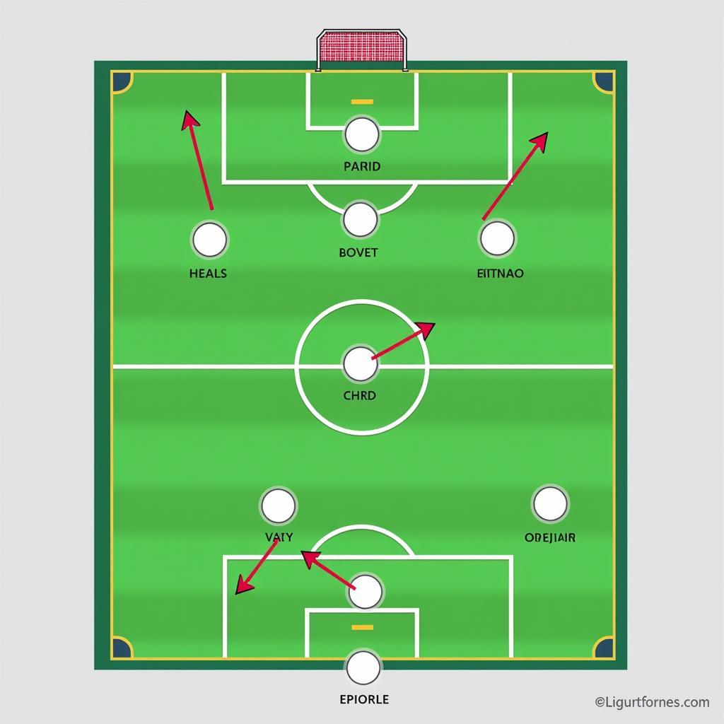 Đội hình và chiến thuật Sirius FC