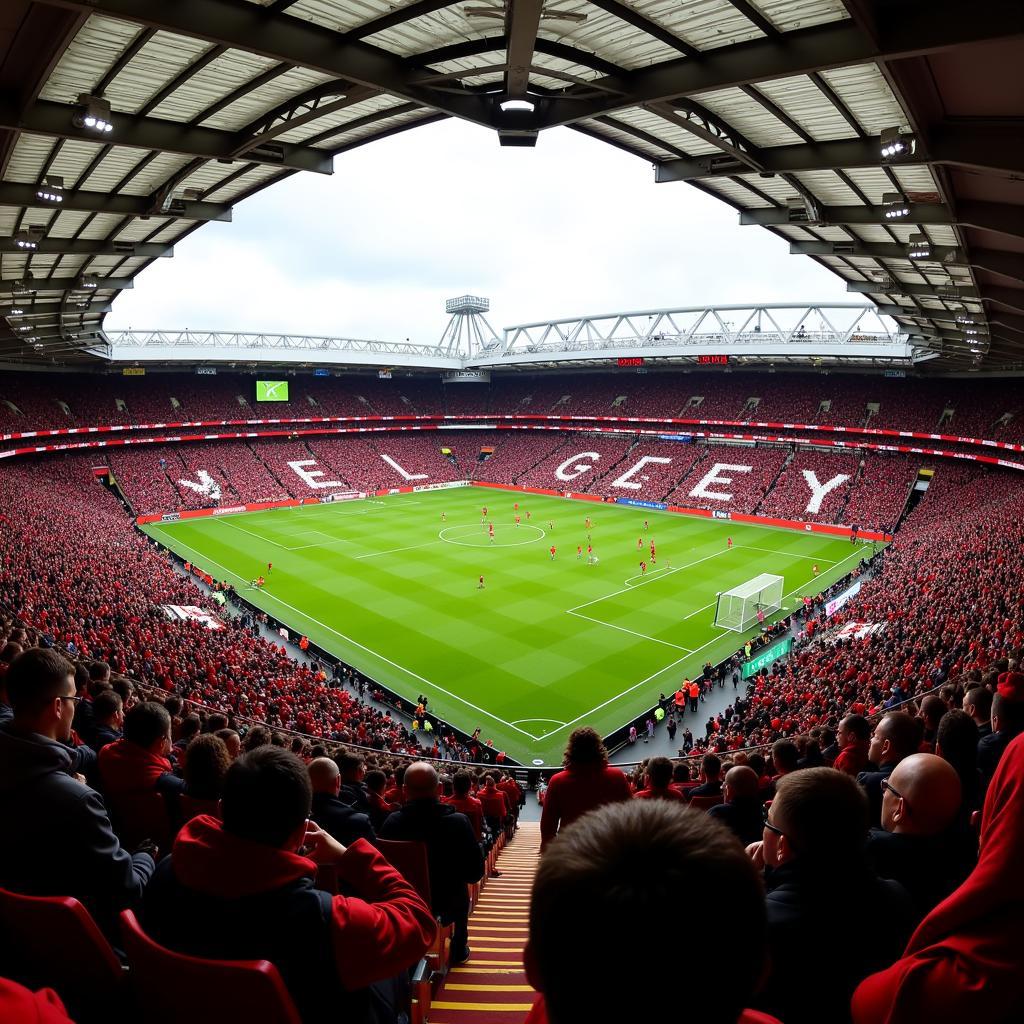 Liverpool vs Genk Khán Giả Anfield